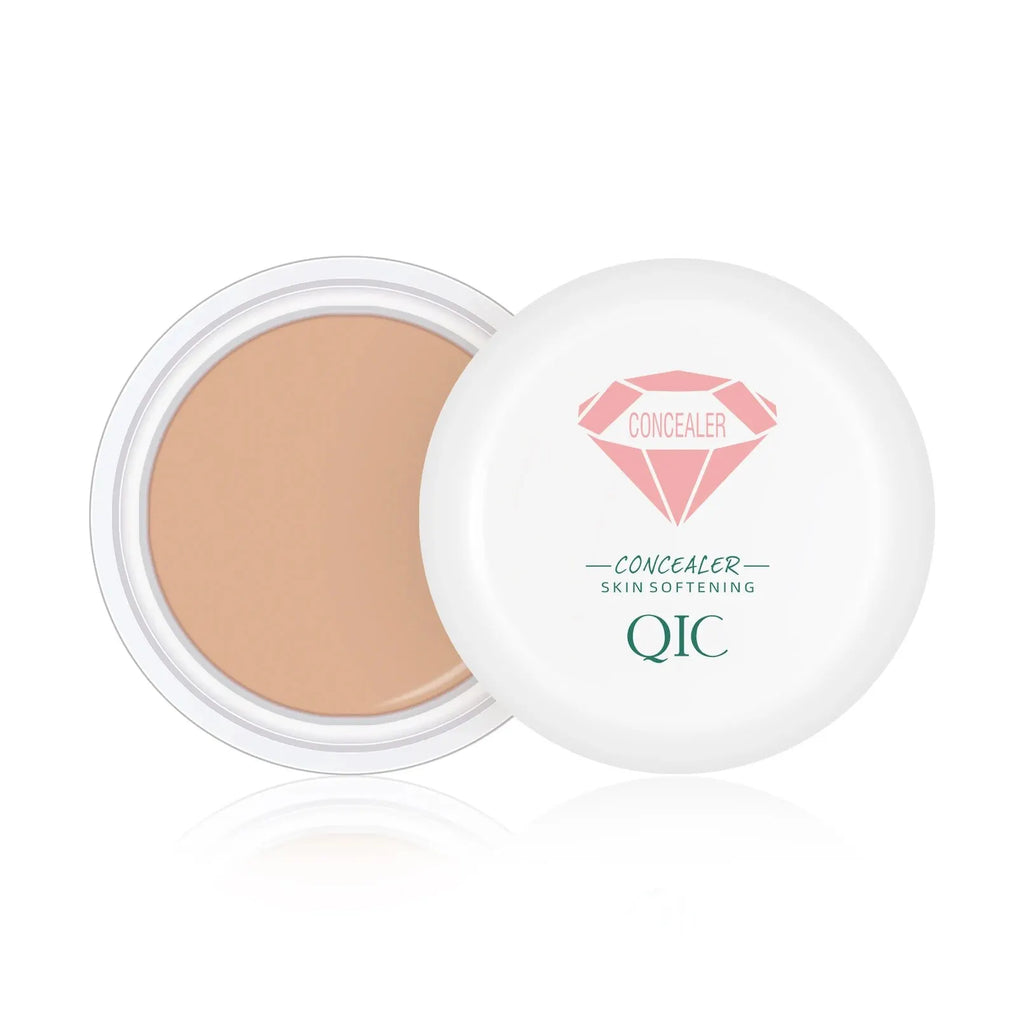 High Coverage Waterproof Concealer BB Cream